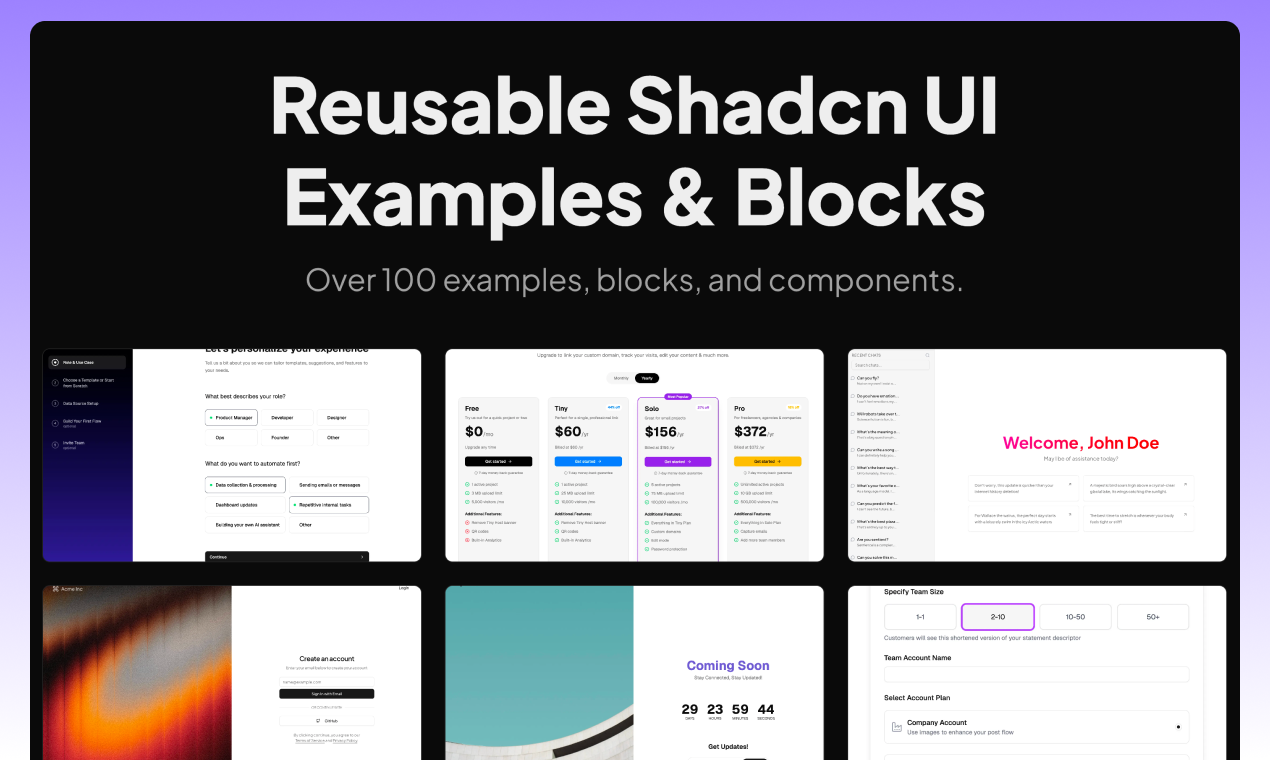 Shadcn Examples
