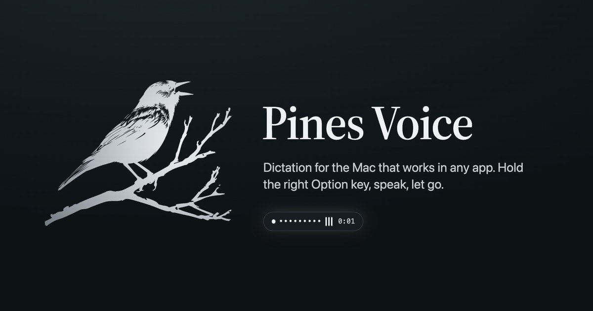 Pines Voice screenshot 1